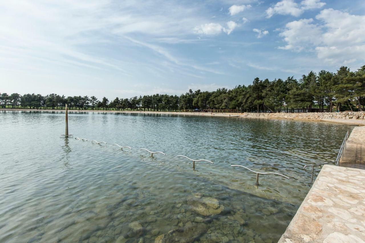 Casa Flora 3-Minutes' Walk From The Beach Novigrad Istria エクステリア 写真